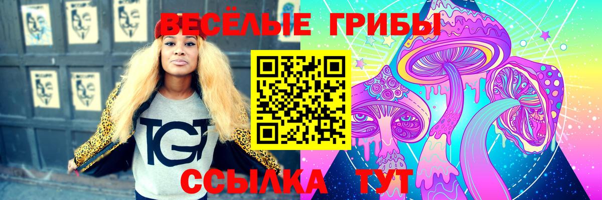 Галлюциногенные грибы Cubensis Серпухов