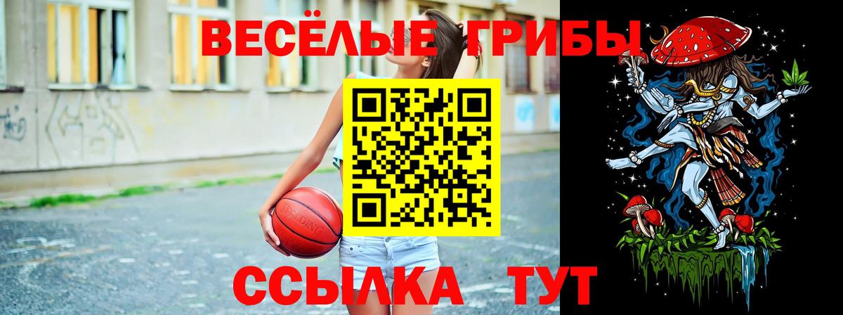 купить наркотик  Вход с VPN  Серпухов  Псилоцибиновые грибы Psilocybine cubensis 